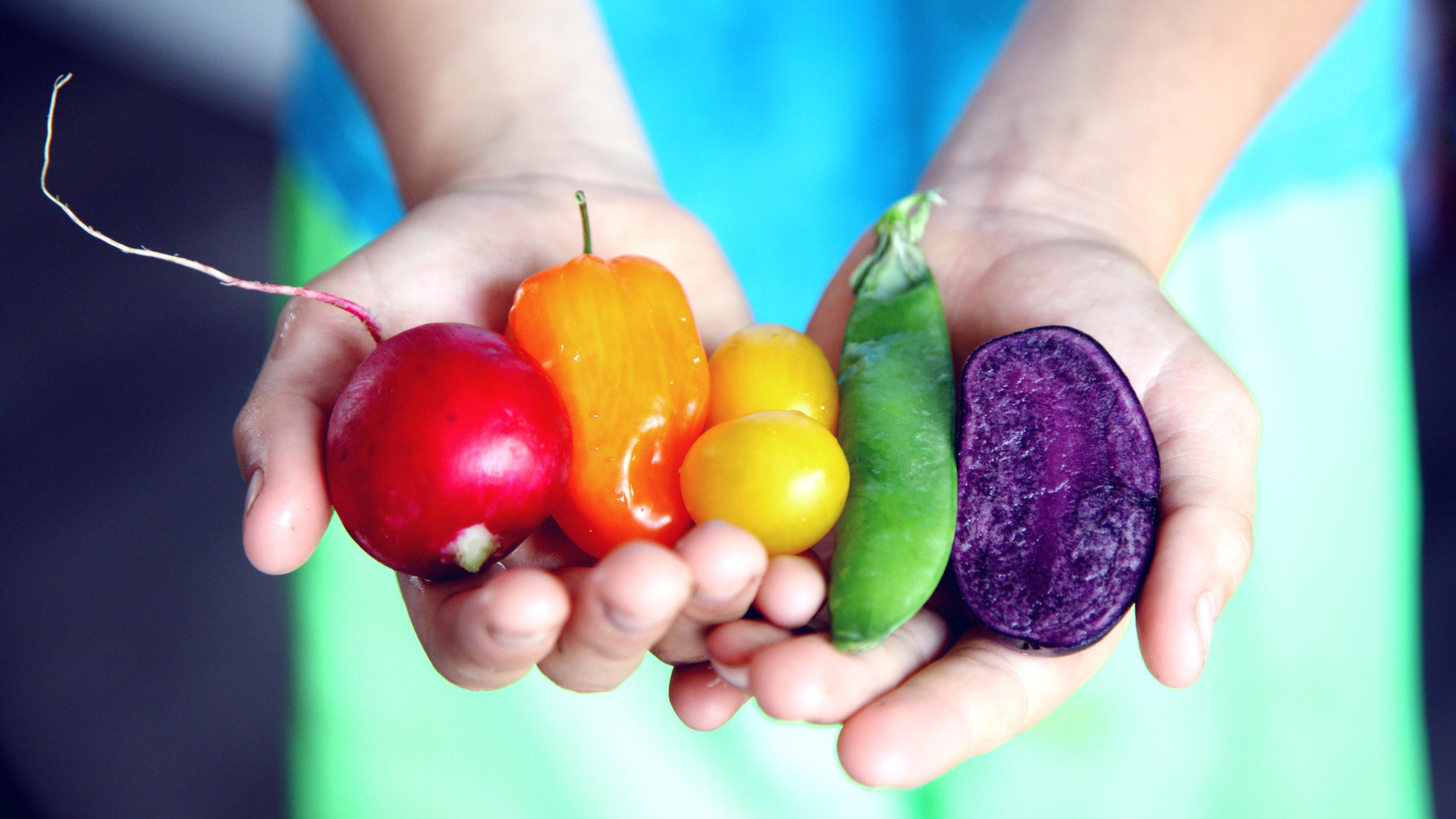 different color vegetables in hands